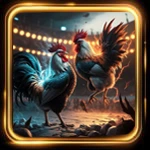 sabung ayam